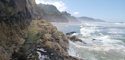 A rocky coastline with waves crashing against the shore, surrounded by cliffs and misty trees in the background.