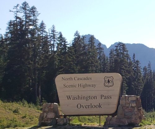 Sign for Washington Pass Overlook on North Cascades Scenic Highway, surrounded by trees and mountains in the background.