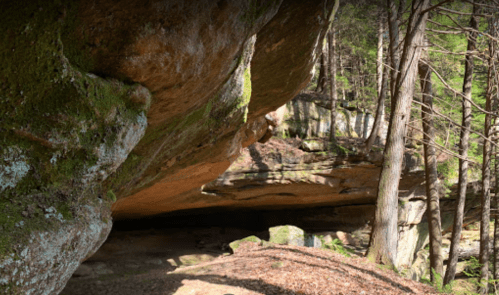 A moss-covered rock formation in a forest, with trees surrounding a shaded area beneath the overhang.