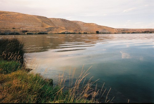 A serene river scene with gentle ripples, bordered by grassy banks and distant hills under a cloudy sky.
