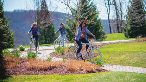 Three women ride bicycles along a scenic path surrounded by greenery and trees on a sunny day.