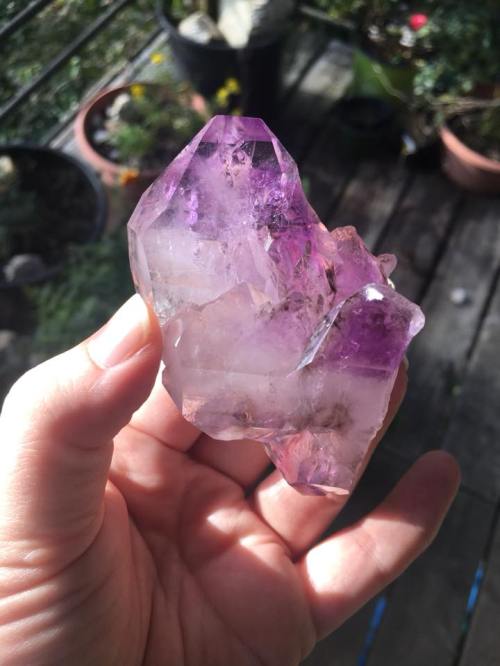 A person holding a large, purple and clear crystal in a garden setting with plants in the background.