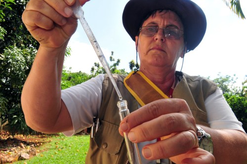 A person in a hat uses a dropper to transfer liquid into a glass vial outdoors, surrounded by greenery.