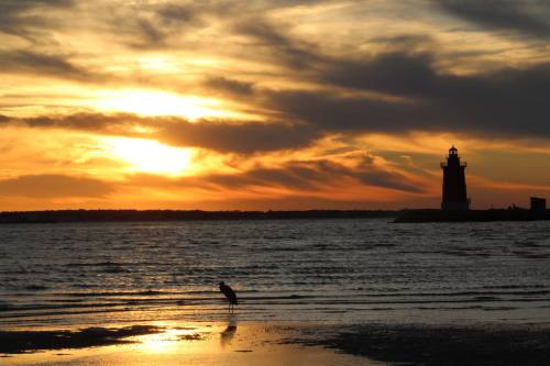 A serene sunset over water with a silhouette of a lighthouse and a bird standing on the shore.