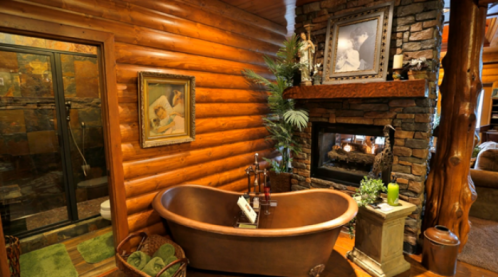 Cozy bathroom featuring a vintage tub, stone fireplace, and wooden walls, with a shower and decorative plants.