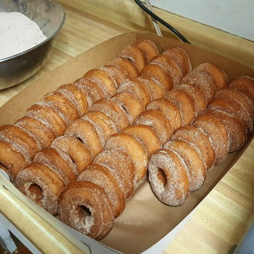 A tray of freshly made, sugar-coated donuts arranged in neat rows.