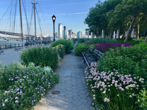 A scenic pathway lined with flowers and greenery, leading to a city skyline in the background.