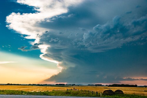 Dramatic clouds loom over a golden field at sunset, creating a striking contrast against the blue sky.