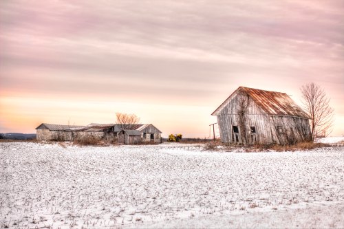 A snowy landscape featuring two weathered barns and a distant yellow vehicle under a pastel sky.