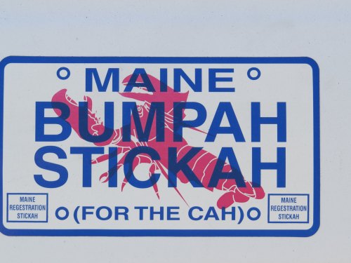 A blue and red sticker featuring a lobster, with the text "MAINE BUMPAH STICKAH (FOR THE CAH)" on a white background.