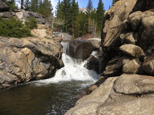 A serene waterfall cascades over rocks into a calm pool, surrounded by lush greenery and tall trees.