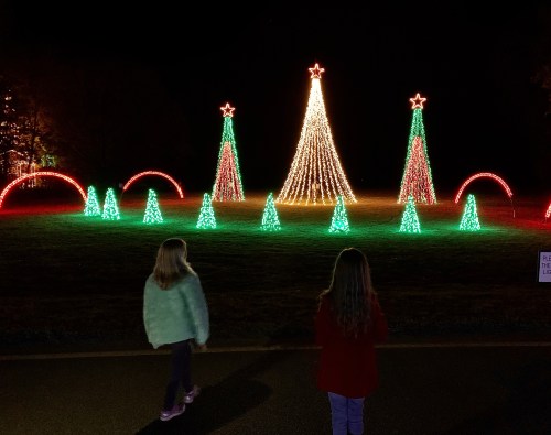 Two children admire colorful holiday light displays shaped like trees and stars at night.