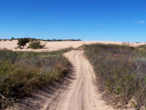 A sandy path winds through low vegetation, leading towards distant dunes under a clear blue sky.