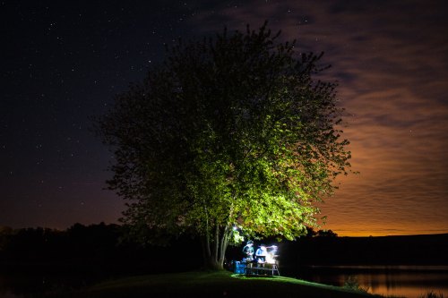 A tree illuminated at night by a person working at a table, with stars and clouds in the sky above a calm lake.