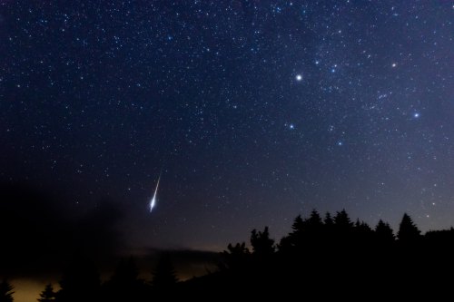 A starry night sky with a bright meteor streaking across, silhouetted trees in the foreground.