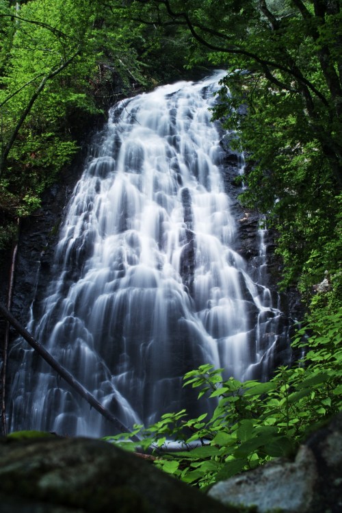 A cascading waterfall surrounded by lush green trees and rocky terrain, creating a serene natural scene.