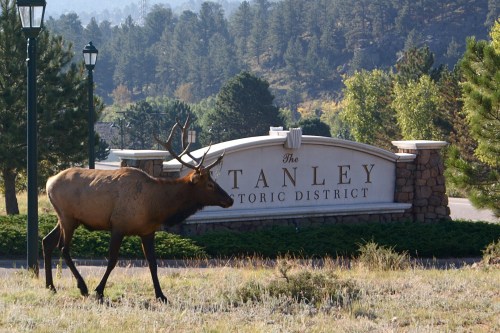 An elk walks past the sign for The Stanley Historic District, surrounded by trees and mountains in the background.