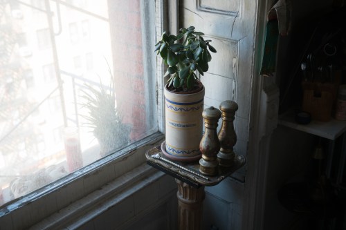 A potted plant sits on a small table by a window, with two decorative salt and pepper shakers nearby.