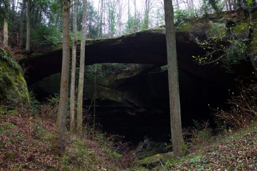 A natural stone arch surrounded by trees in a forested area, with rocky terrain below.