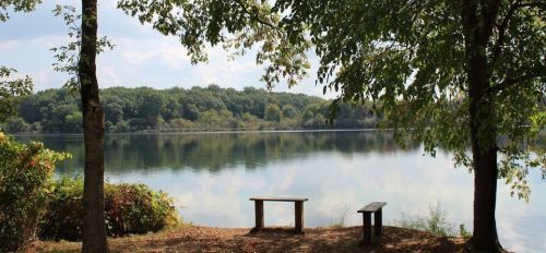 A serene lakeside view with trees, benches, and calm water reflecting the sky and surrounding greenery.