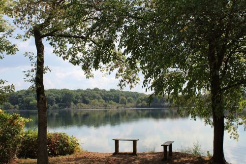 A serene lake view framed by trees, with two benches overlooking the calm water and lush greenery in the background.