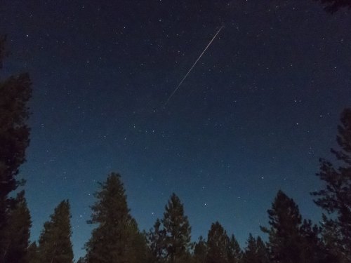 A starry night sky with a bright meteor streaking across, framed by silhouettes of tall pine trees.