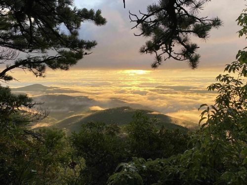 A scenic view of mountains and valleys shrouded in mist, with a golden sunrise illuminating the horizon.