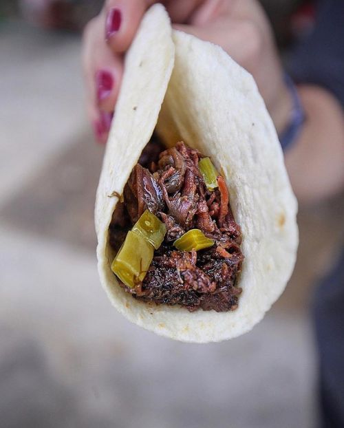 A hand holding a taco filled with shredded meat and green peppers, set against a blurred background.