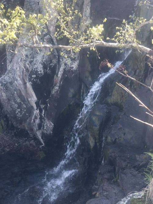A small waterfall cascading over dark rocks, surrounded by greenery and sunlight filtering through the leaves.
