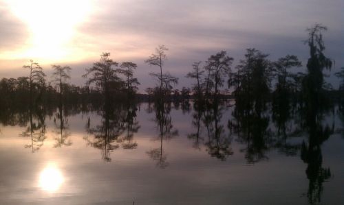 Sunset over a calm lake, with silhouetted trees reflecting on the water's surface.