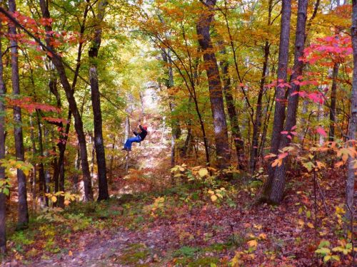 A person swings through a colorful autumn forest, surrounded by vibrant red, orange, and yellow leaves.