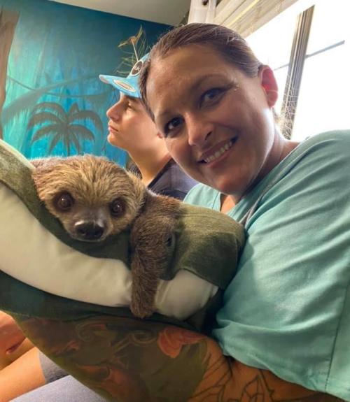 A woman smiles while holding a sloth on a green pillow, with a person sitting behind her in a casual setting.
