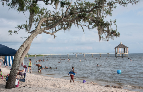 A beach scene with people swimming, playing, and a gazebo in the background under a tree with Spanish moss.