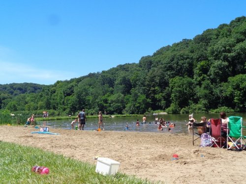 A sunny beach scene with people swimming and playing in a river, surrounded by green trees and a clear blue sky.
