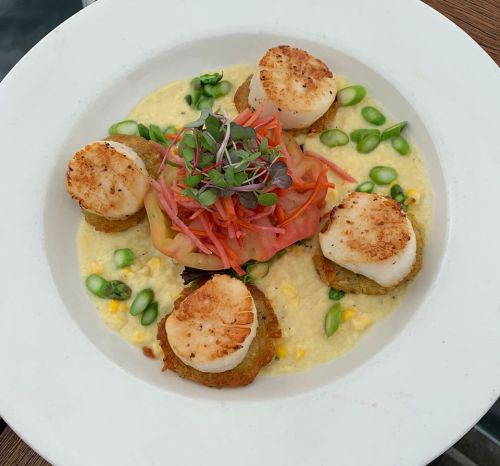 A plate of seared scallops on a bed of creamy sauce, garnished with vegetables and microgreens.