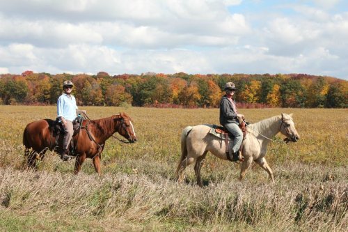 Two riders on horseback traverse a grassy field, surrounded by trees with autumn foliage under a partly cloudy sky.