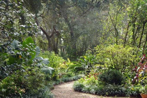 Lush garden path surrounded by vibrant greenery and trees, creating a serene and tranquil atmosphere.