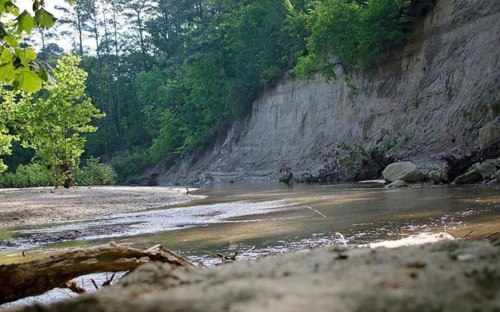 A serene riverbank scene with a calm waterway, lush greenery, and a steep, sandy bank in the background.