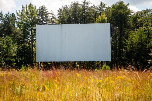 A blank billboard stands in a field surrounded by tall grass and trees under a blue sky.