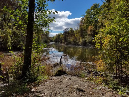 A serene river scene surrounded by trees, with clear blue skies and autumn foliage reflecting on the water.