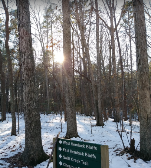 Sunlight filters through trees in a snowy forest, with a signpost indicating nearby trails.