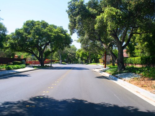 A quiet, tree-lined street with lush greenery on both sides and clear blue skies above.