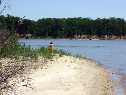 A person in a yellow skirt walks along a sandy beach by a river, surrounded by greenery and trees in the background.