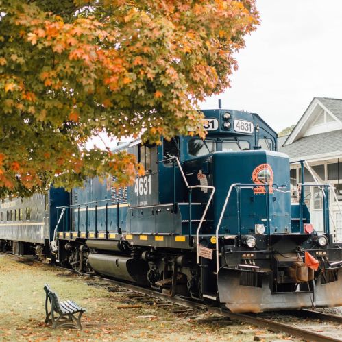 A blue train engine numbered 4631 parked beside a tree with autumn leaves, near a building and a bench.