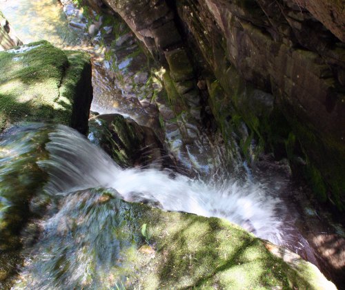 A small waterfall cascades over moss-covered rocks into a serene stream surrounded by lush greenery.