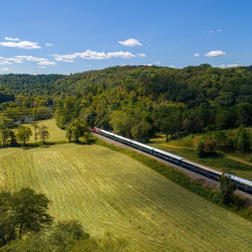 A train travels through a lush green landscape under a clear blue sky, surrounded by trees and rolling hills.