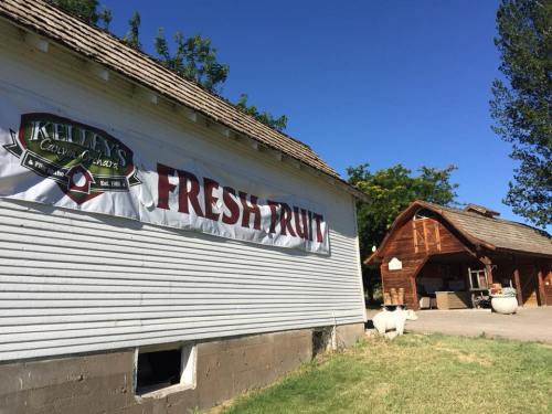 A white building with a sign reading "Fresh Fruit" next to a rustic wooden structure under a clear blue sky.