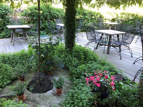 A serene outdoor patio with metal tables and chairs surrounded by lush greenery and colorful flower pots.