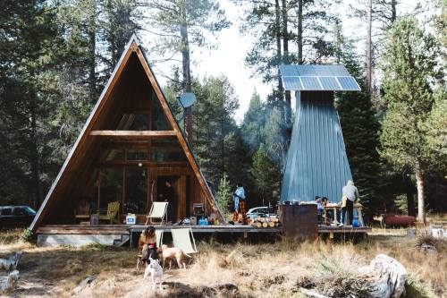 A modern A-frame cabin in a forest, with solar panels, surrounded by trees and people, and dogs playing nearby.