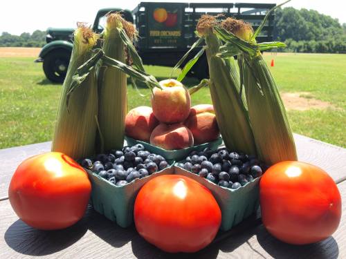 Fresh produce display featuring corn, tomatoes, apples, and blueberries, with a vintage truck in the background.